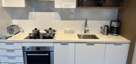 Vancouver False Creek Luxury 2 Bedroom Condo For Rent (False Creel) - Photo 2