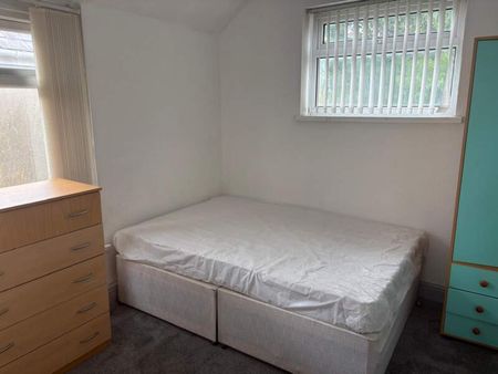 Double Room for Students & Professionals, Brynmill Avenue. - Photo 4