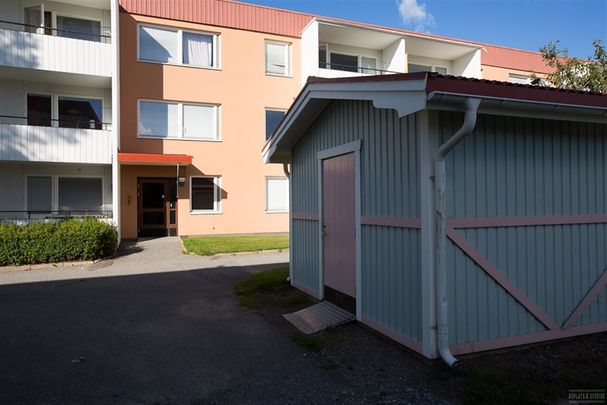 Bogatan 10 A - Foto 1