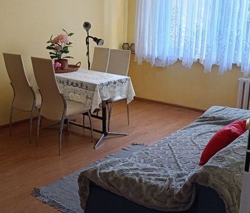 mieszkanie na wynajem Szczecin Niebuszewo - Photo 3