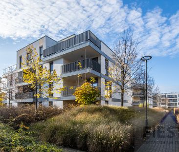 Poznań Grunwald, ul. Józefa Sowińskiego - Zdjęcie 6