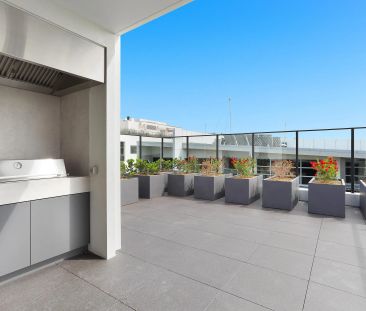 Stunning, luxuriously appointed apartment in the heart of St Leonards - Photo 4