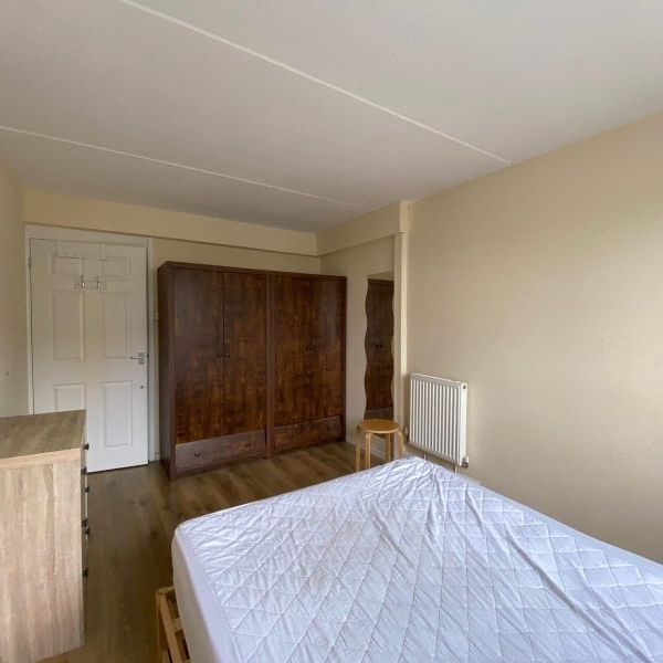 Room in a Shared Flat, Battersea Park, SW11 - Photo 1