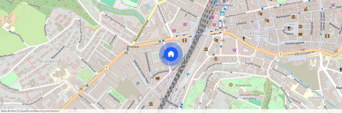 Pionierstrasse 22, 8400 Winterthur, Lageplan