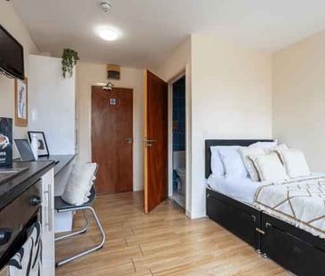 Gold Studio - Photo 2