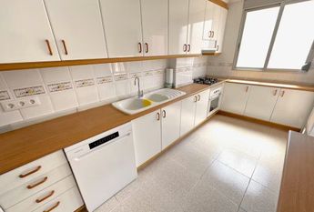 Avinguda de la Constitució, Valencia, Valencian Community 46019