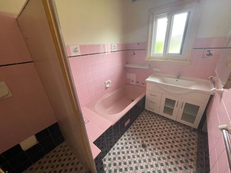 Prime Location! - Photo 5