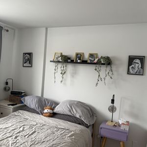 4 1/2 Rosemont Masson / Parc Molson - Photo 3