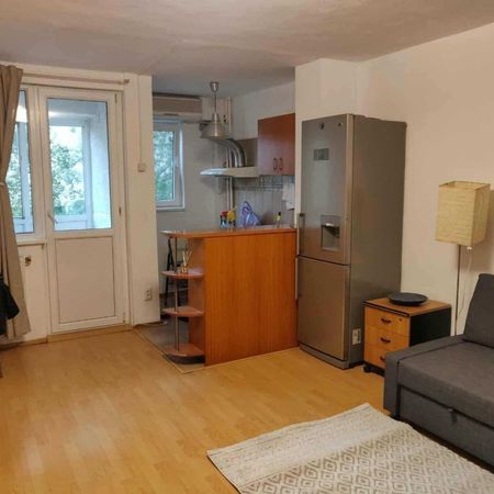 Iancului elev stefanescu etaj 1 - Fotografie 4