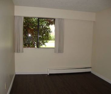 1 BDR-Welcome to Pine Manor clean & professionally managed - Photo 2