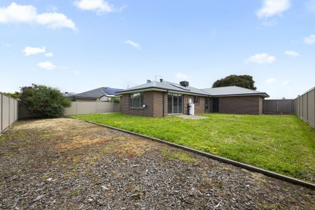 Stylish Family Living Awaits at 75 Dyson Drive, Alfredton - Photo 4