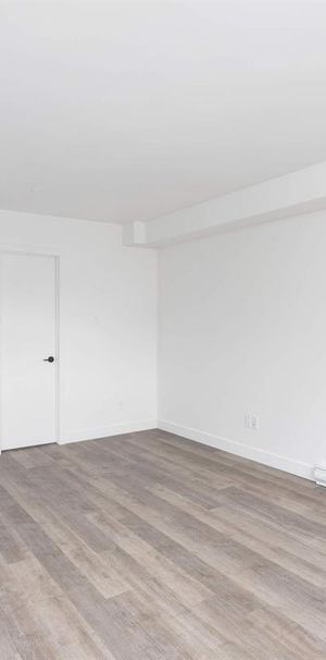 1 CH - 1 SDB - Montréal - $1,245 /mo - Photo 1