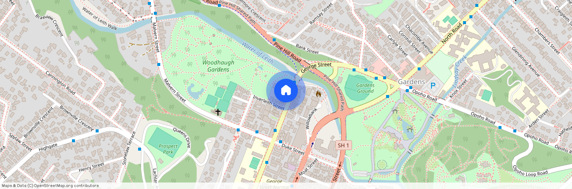 1061 George Street, North Dunedin