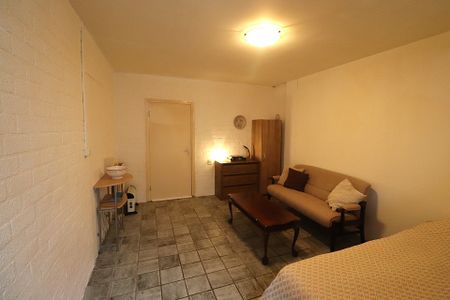 Te huur: Opnieuw te huur studio randje centrum Maastricht! - Photo 3