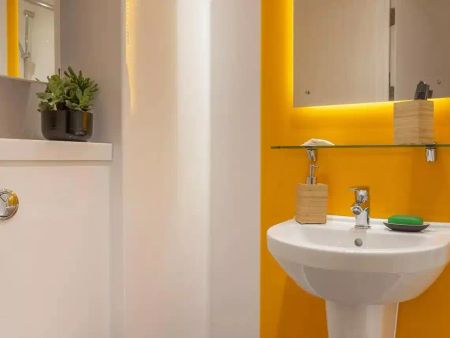 Classic Studio Plus - Photo 5