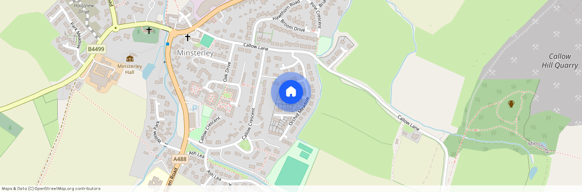 Orchid Meadow, Shrewsbury