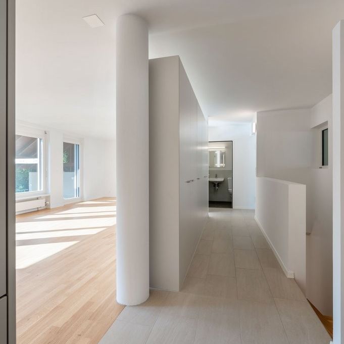 3 individuelle Wohneinheiten - LIVING AARE in Olten - Foto 1