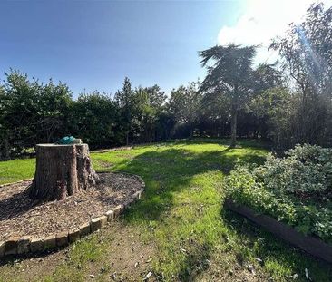 Brambletye, Birchington, CT7 - Photo 4