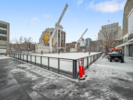 Appartement à louer, Montréal (Ville-Marie) - Photo 5