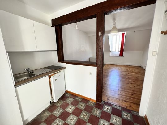 Location Appartement 1 pièce 29m² GRENOBLE 38000 - Photo 1