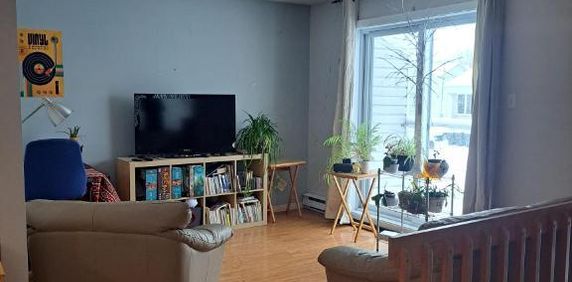 4 1/2 Lévis centre-ville, UQAR, proximité autoroute - Photo 2