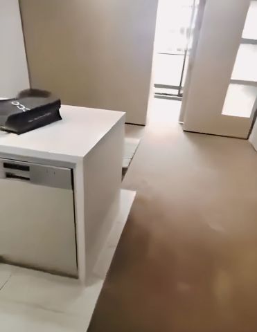 349 George st, Sydney - Photo 3