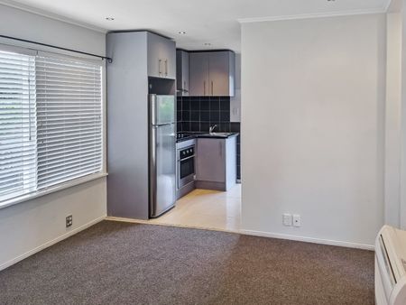 Remuera 1 bedroom unit plus an office with private garden and carport - Photo 5