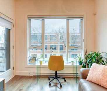 7230 Rue Alexandra, app.223, H2R 2Z2, H2R 2Z2, Montréal - Photo 4