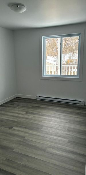 Grand 4 1/2 à Louer à Bois-des-filion - Photo 1