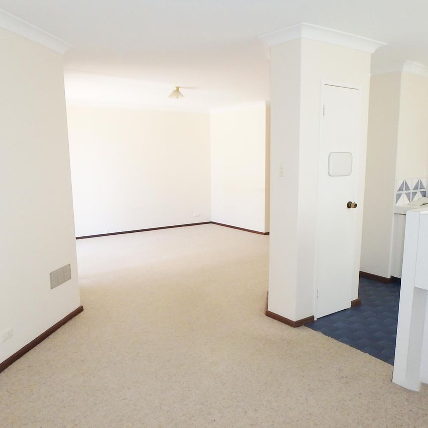 YOUR PERFECT VICTORIA PARK PAD WITH COURTYARD AND CONVENIENCE - Photo 1