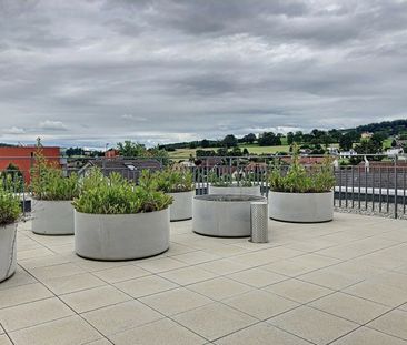 LA DOUCEUR DE LA NATURE AUX PORTES DE FRIBOURG - Foto 6