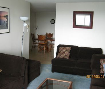 fully furnished 3 BR apt - Photo 2