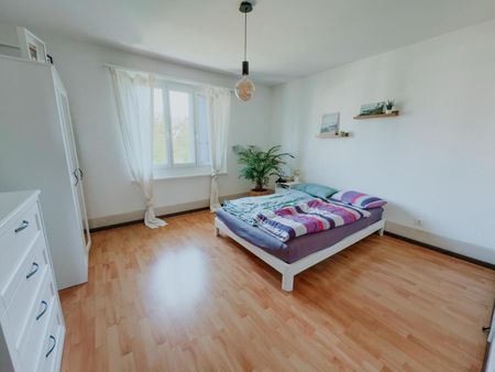 3-ROOM APARTMENT IN THUN (BE), FURNISHED, TEMPORARY - Photo 2