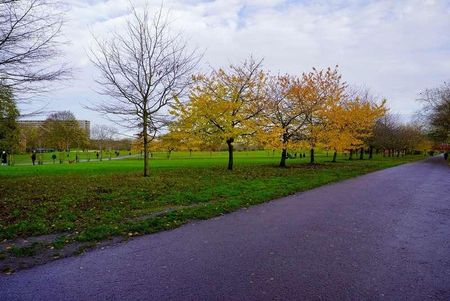 St. Georges Way, Peckham, London, SE15 - Photo 5