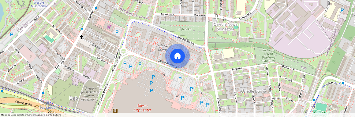 Śródmieście, Katowice