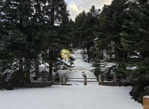Μεζονέτα για ενοικίαση - Αράχωβα - Photo 4