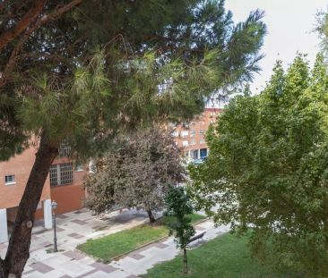 3-bedroom apartment for rent in Amposta, Madrid. - Photo 4