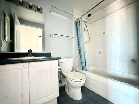 134 York St, Byward Market, Ottawa, ON - Photo 5