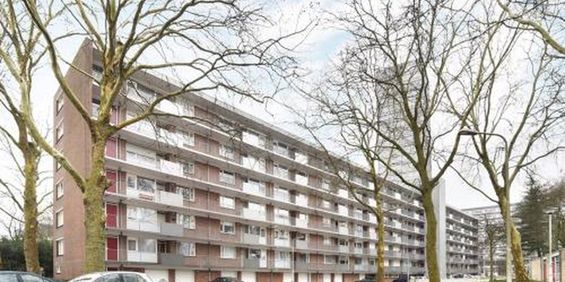 Cederstraat 5037 JD Tilburg - Photo 3