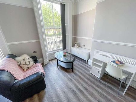 Upper Parliament Street, L8 - Photo 2