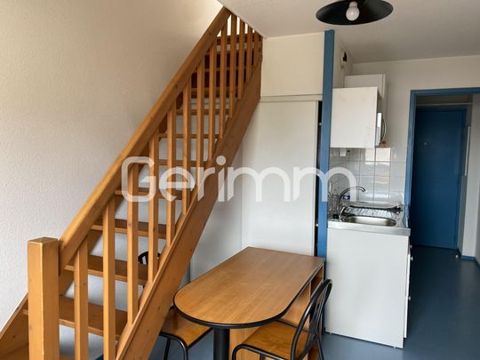 Location Appartement 1 pièce 24,38 m² - Photo 1