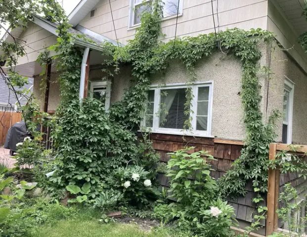 River Valley Character Home in unique park setting | Edmonton - Photo 1