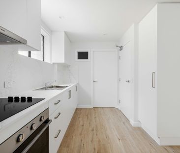 1 / 229 Darling Street - Photo 5