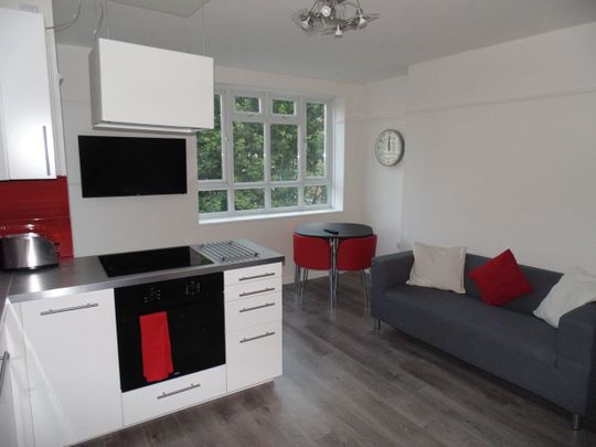 Room in a Shared Flat, Jewell House, SW12 - Photo 1