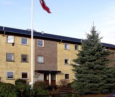 Revlingbakken - Photo 2