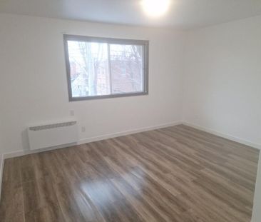 Grand 4 1/2 éclairé - Photo 2