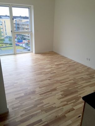 2-værelses studiebolig (Type A) - Photo 1