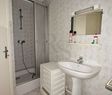 Location Appartement 1 pièce 17m² - Photo 4