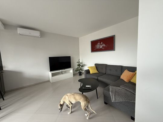 mieszkanie na wynajem - Szczecin, Centrum, ul. Świętego Ducha - Photo 1