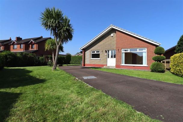 26 Monaville Drive, Lisburn, BT28 2DR - Photo 1